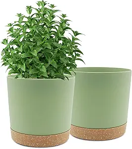 Modern 10-Inch Plant Pots – 2 Pack